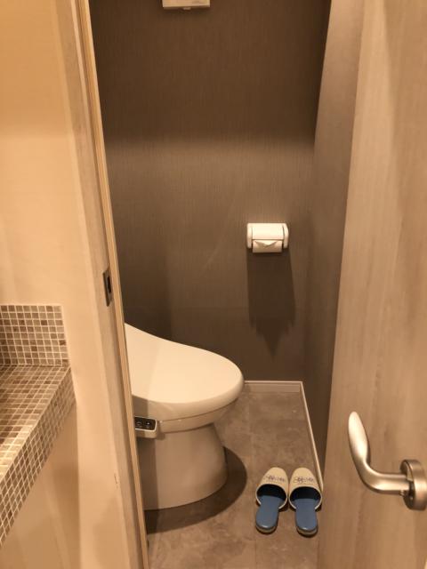 Hotel totolo（トトロ）(豊島区/ラブホテル)の写真『203号室 トイレ』by サトナカ