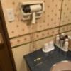HOTEL ノースライン(北上市/ラブホテル)の写真『110号室 洗面台アメニティその2』by hummerjack
