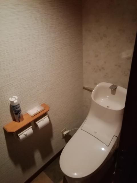 HOTEL WILL RESORT（ウィルリゾート）鎌倉(鎌倉市/ラブホテル)の写真『411号室利用19.11。トイレです。一応リニューアルしてますね。』by キジ