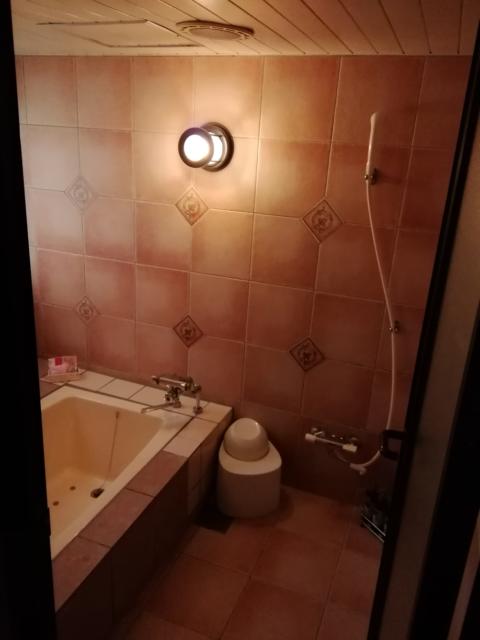 HOTEL WILL RESORT（ウィルリゾート）鎌倉(鎌倉市/ラブホテル)の写真『411号室利用19.11。お風呂です。』by キジ