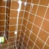 HOTEL 鶯谷倶楽部(台東区/ラブホテル)の写真『４C（浴室シャワー部分。ヘッドは壁向き）』by 格付屋