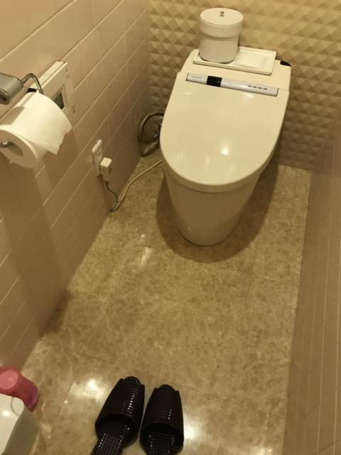 ラピア(新宿区/ラブホテル)の写真『201号室のトイレ②』by 少佐