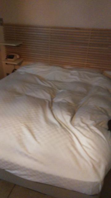 ホテルSILK(渋谷区/ラブホテル)の写真『103　ベッド』by 名無しさん（ID:28468）
