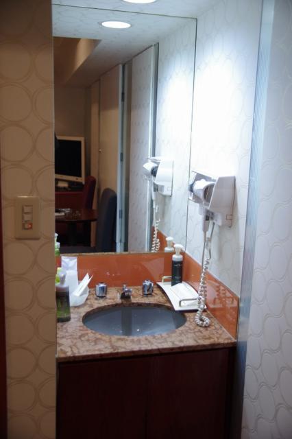 ホテルFirst(豊島区/ラブホテル)の写真『305号室　洗面台』by マーケンワン