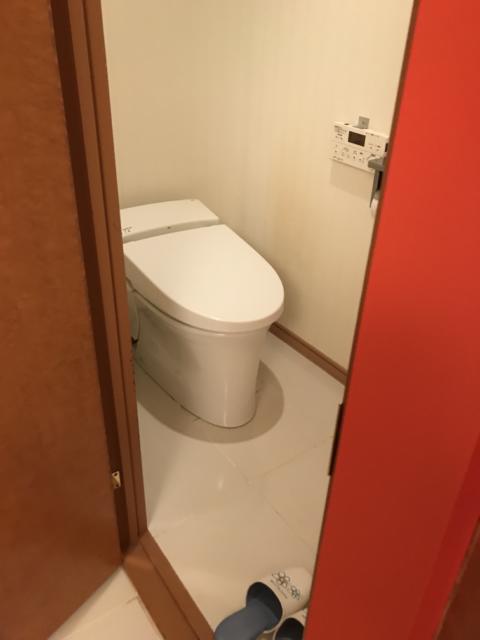 ペガサス(文京区/ラブホテル)の写真『105号室のトイレ①』by 少佐