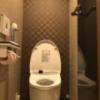 HOTEL EXE（エグゼ）(台東区/ラブホテル)の写真『203号室のトイレ②』by 少佐