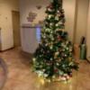 HOTEL ALLY（アリー）(大阪市/ラブホテル)の写真『ロビーにあったクリスマスツリー。結構混んでました。』by PINK SCORPION