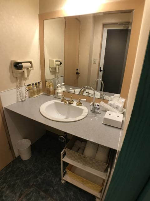 ホテル101(浜松市/ラブホテル)の写真『05号室 洗面所』by ま〜も〜る〜