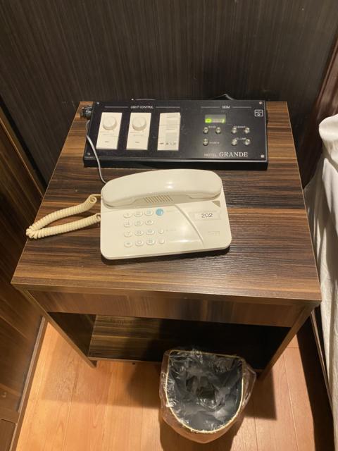 HOTEL GRANDE(川口市/ラブホテル)の写真『202号室室内（電話/スイッチ）』by こねほ
