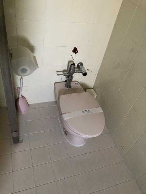 モンリーヴ(川口市/ラブホテル)の写真『505号室　トイレ』by サトナカ