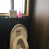 ラピア(新宿区/ラブホテル)の写真『505号室のトイレ』by 少佐
