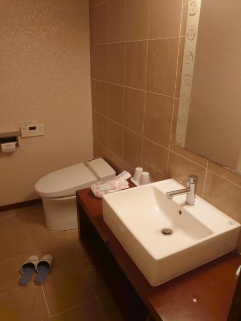 ペガサス(文京区/ラブホテル)の写真『207 トイレ洗面所』by momomo