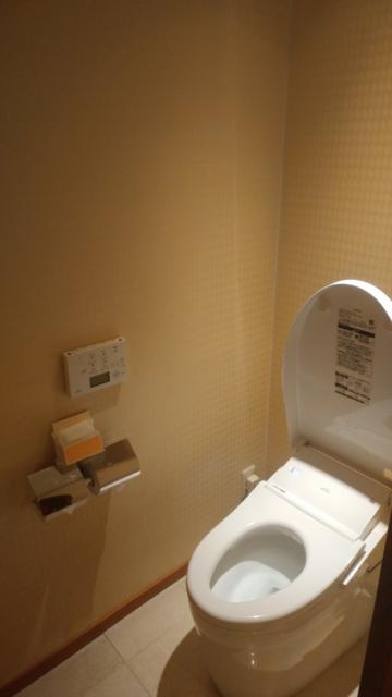 アペルト(豊島区/ラブホテル)の写真『305号室　自動感知センサー付きトイレ』by 来栖