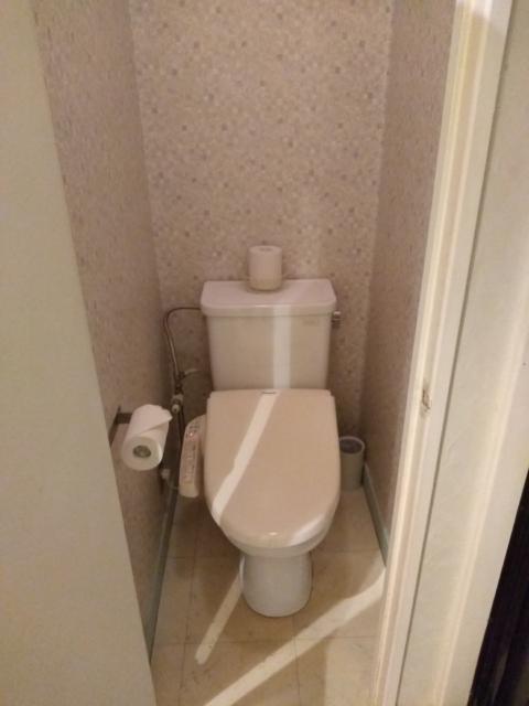 越谷HOTEL CAZ(ホテルキャズ)(越谷市/ラブホテル)の写真『203号室 トイレ』by ましりと
