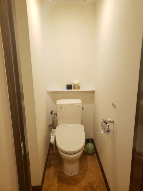 ホテル クリスタルゲート名古屋(名古屋市中区/ラブホテル)の写真『501号室トイレ』by 洋平君