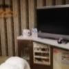 ホテル カランコロン(尼崎市/ラブホテル)の写真『202号室。TV・電気ポット』by 航平