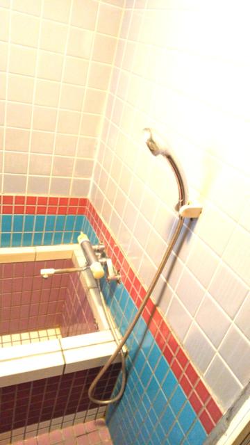 HOTEL ENJU(本館)(台東区/ラブホテル)の写真『A46室の浴室』by おこ