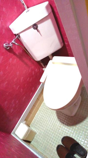 HOTEL ENJU(本館)(台東区/ラブホテル)の写真『A46号室のトイレ』by たけのこ