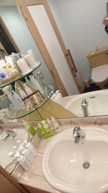 ロテル・デ・フルール京極(京都市中京区/ラブホテル)の写真『105号室洗面所とトイレ』by よしお440