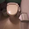 HOTEL SHERWOOD（シャーウッド）(台東区/ラブホテル)の写真『510号室 トイレ』by 巨乳輪ファン