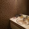 ホテル ウォーターゲート多治見(多治見市/ラブホテル)の写真『503号室洗面台2』by 洋平君
