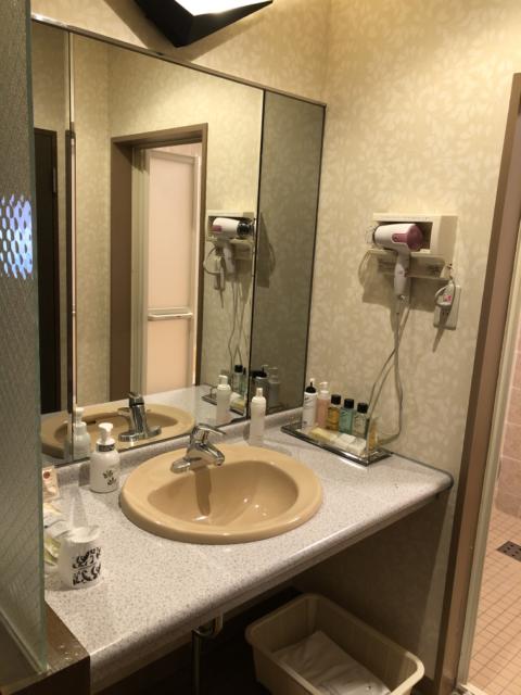 アネックス(川口市/ラブホテル)の写真『308号室　洗面コーナー』by サトナカ