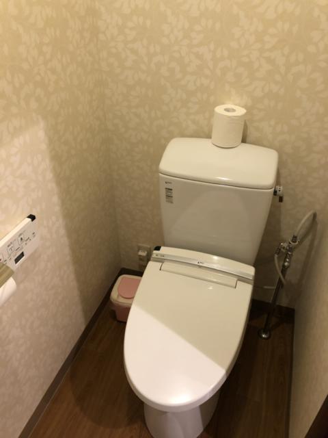 アネックス(川口市/ラブホテル)の写真『308号室 トイレ』by サトナカ