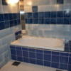 NUDA（ヌーダ） by H-SEVEN(横浜市中区/ラブホテル)の写真『505号室 浴室』by ピンサロ番長