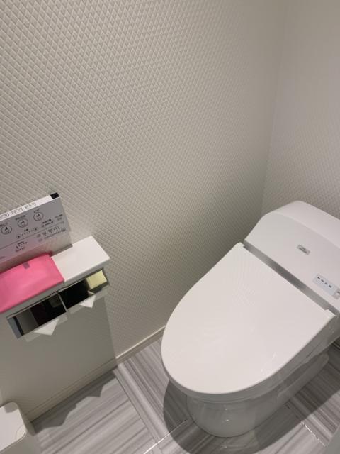 HOTEL SEKITEI(葛飾区/ラブホテル)の写真『204号室　トイレ。なかなか綺麗でした』by 日本語大辞典