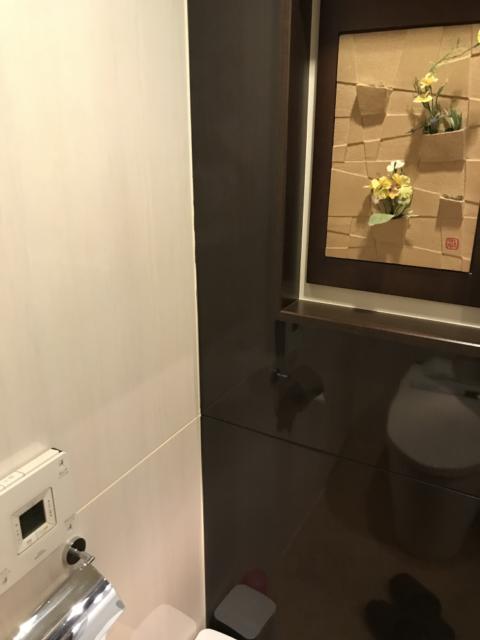ラピア(新宿区/ラブホテル)の写真『302号室のトイレ③』by 少佐