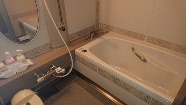 ドルフィン(新宿区/ラブホテル)の写真『105号室、浴室』by 爽やかエロリーマン
