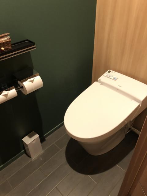 FABULOUS(ファビュラス)(立川市/ラブホテル)の写真『502号室のトイレ』by スラリン