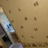 HOTEL FIRST INN(ファーストイン)(千葉市中央区/ラブホテル)の写真『502号室入口から壁紙一面』by よしお440