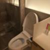 KOYADO HOTEL(台東区/ラブホテル)の写真『1号室トイレ』by カモメの民兵さん