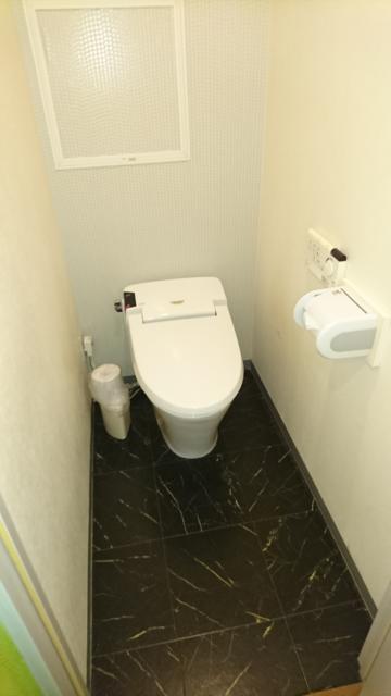 新日本プラザホテル(船橋市/ラブホテル)の写真『56号室トイレ』by よしお440