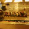SARA 川越(川越市/ラブホテル)の写真『405号室テーブル。お寿司のサンプルたくさん。』by リカ