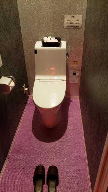 AtoZ諏訪インター店(諏訪市/ラブホテル)の写真『508(Cクラス)トイレ』by 折口 直公