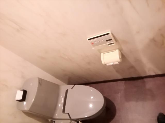 HOTEL ALLY（アリー）(横浜市都筑区/ラブホテル)の写真『101号室利用(20,3)トイレです。』by キジ