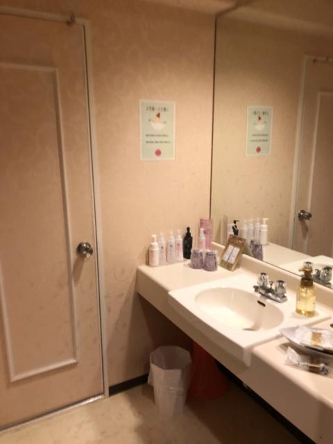 hotel anzera（アンゼラ）(前橋市/ラブホテル)の写真『312号室洗面室』by ずやさん
