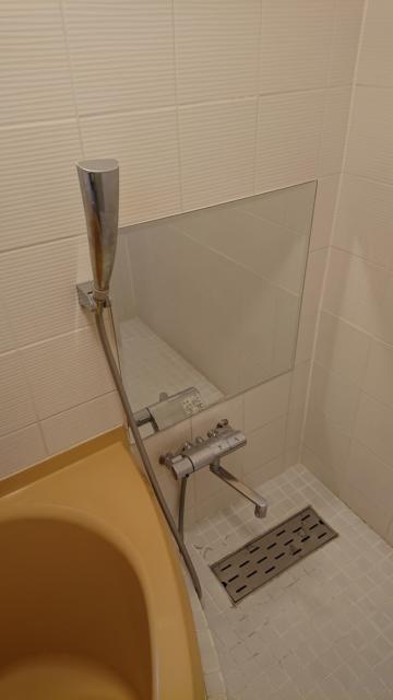 HOTEL RIO（リオ）(新宿区/ラブホテル)の写真『206号室 シャワー(使い方は別写真で解説します)』by 舐めたろう