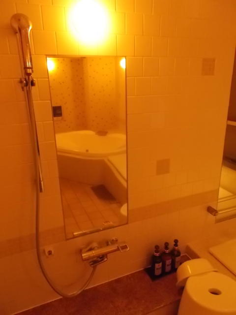 ホテル Ｍ(松戸市/ラブホテル)の写真『46号室。浴室のシャワー設備等。』by 名無しさん（ID:82189）