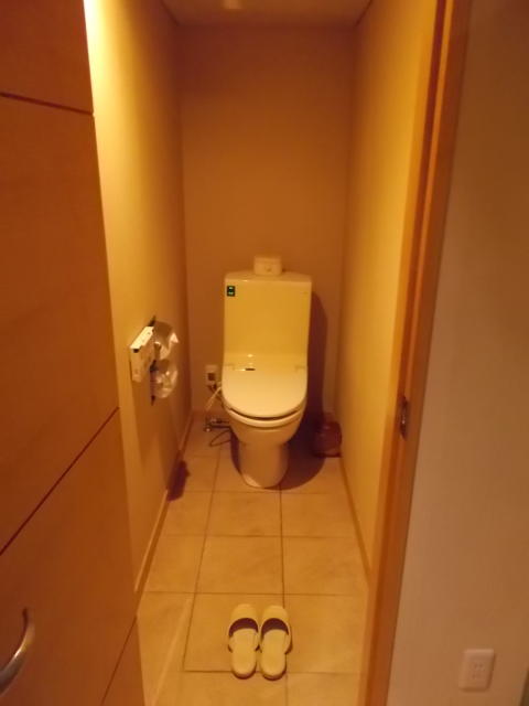 ホテル Ｍ(松戸市/ラブホテル)の写真『46号室。トイレ。』by 名無しさん（ID:82189）