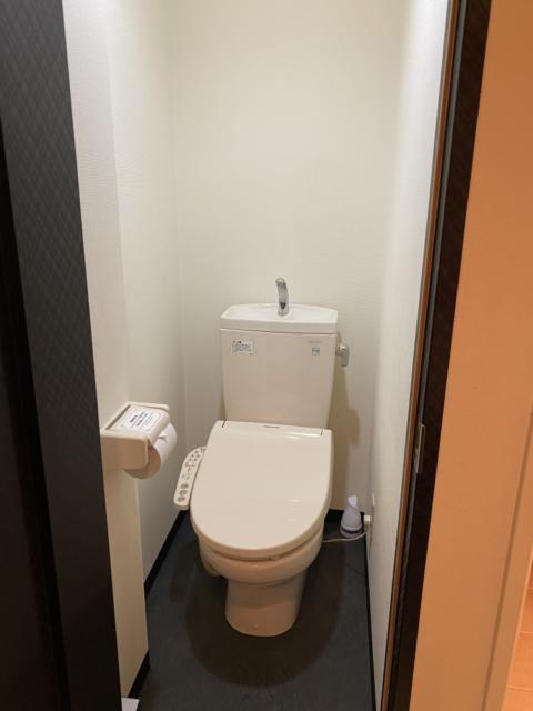 HOTEL Amethyst（アメジスト）(豊島区/ラブホテル)の写真『304号室、トイレ』by 黒板 潤