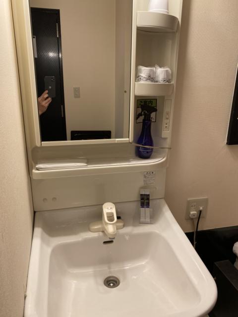 HOTEL Amethyst（アメジスト）(豊島区/ラブホテル)の写真『304号室、洗面台』by 黒板 潤