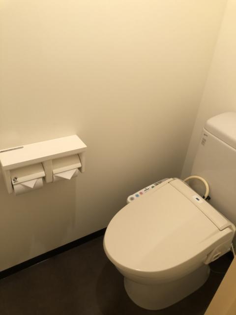 ヒルズホテル五反田(品川区/ラブホテル)の写真『207号室、トイレ』by かとう茨城47