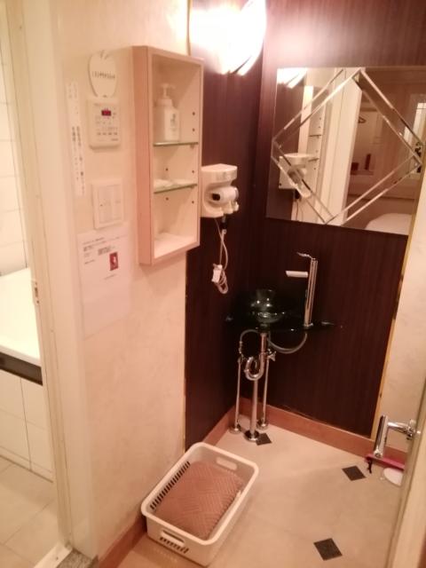 ロイヤルプラザホテル(足立区/ラブホテル)の写真『R13号室利用(20,4)部屋から見た洗面所の全景です。』by キジ