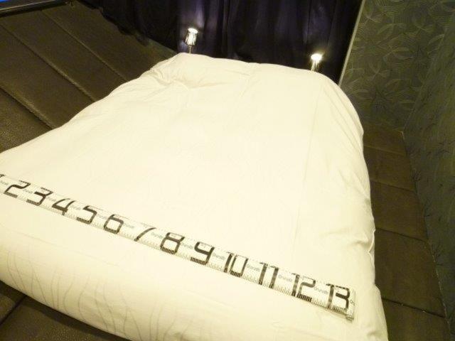 HOTEL THE HOTEL（ホテル　ザ・ホテル）(新宿区/ラブホテル)の写真『53号室（ベッド幅130㎝+アルファ）』by 格付屋