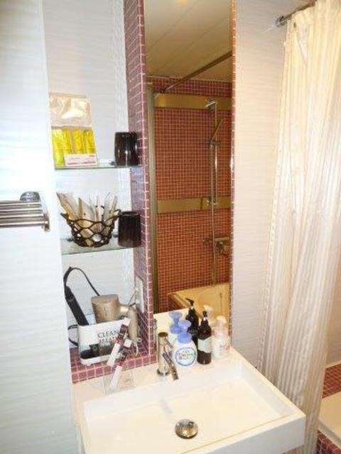HOTEL THE HOTEL（ホテル　ザ・ホテル）(新宿区/ラブホテル)の写真『53号室（水回りゾーンは一部屋。ゾーン正面が洗面台）』by 格付屋