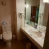 ホテルLALA33(豊島区/ラブホテル)の写真『213　洗面所とトイレが一緒です』by ゆかるん