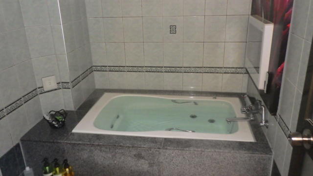 HOTEL SKY PARK（スカイパーク）(新座市/ラブホテル)の写真『206号室　お風呂は家庭用と同じくらいのサイズ　変な段差もあります(^^;』by く～ちゃん